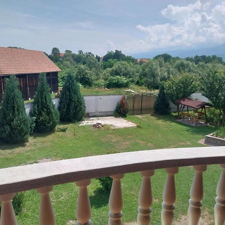 Serena House Кырцишоара Экстерьер фото