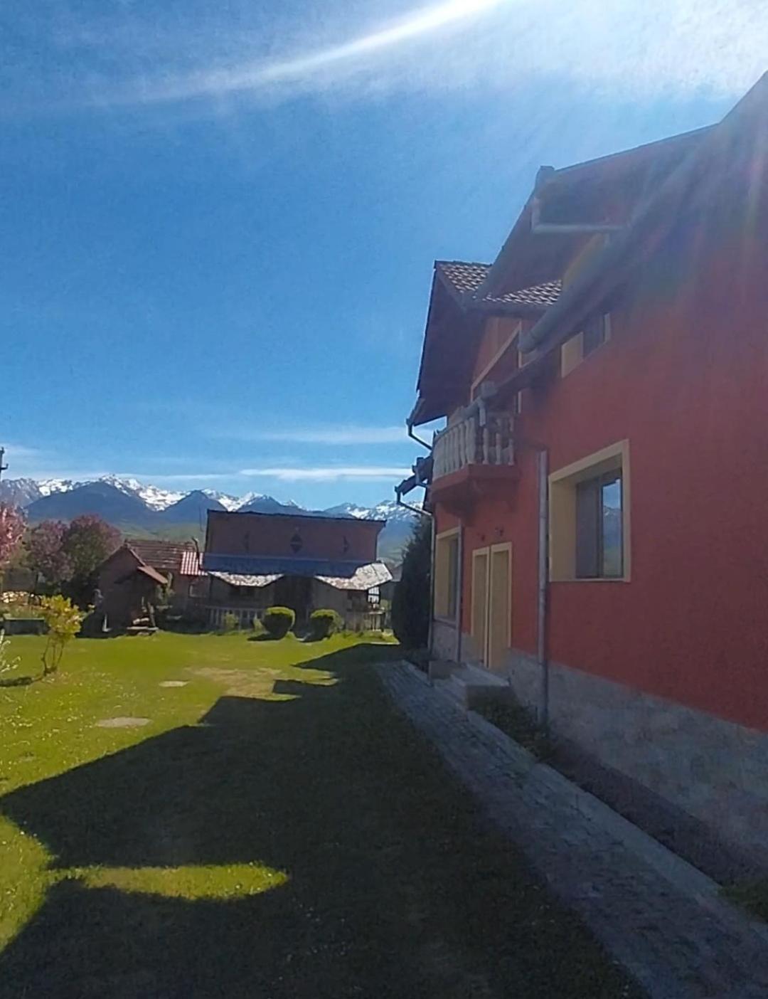 Serena House Кырцишоара Экстерьер фото